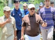 Pemprov Sulbar Catat 1.928 Kelahiran Sapi dari Program IB