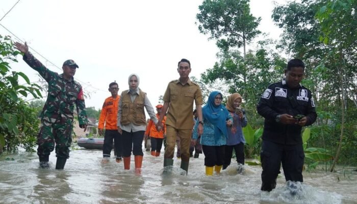 Banjir Rendam Lumbung Pangan OKI, Benih Padi Sebagai Penopang Sementara