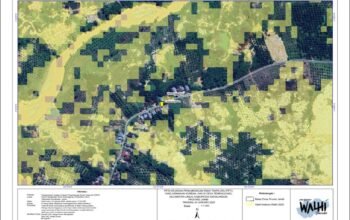 Enam Nyawa Melayang di Tambang Ilegal Limun, Ini Tanggapan WALHI