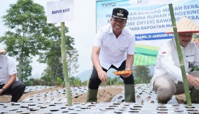 Bupati Karo Hadiri Penyerahan Instore Dryer dan Gerakan Tanam Bawang Merah di Payung