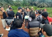 Disorot Polda dan BPN, Sengketa Lahan 480 Hektar di Sungai Tepuk Memanas