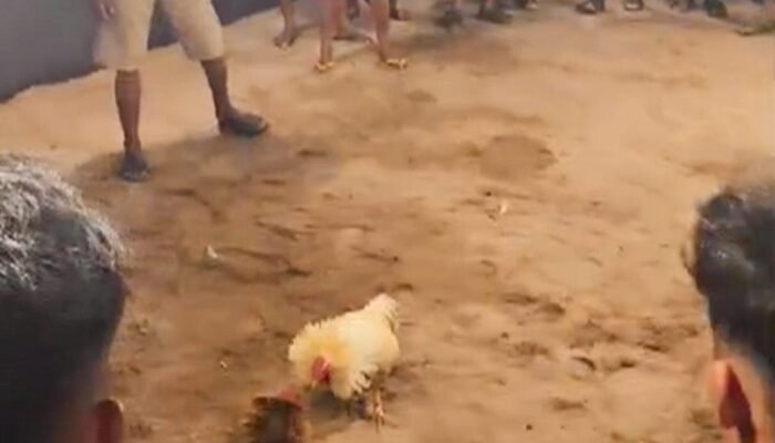 Miris! Balai Desa Sungai Lumpur OKI Alih Fungsi Jadi Arena Perjudian