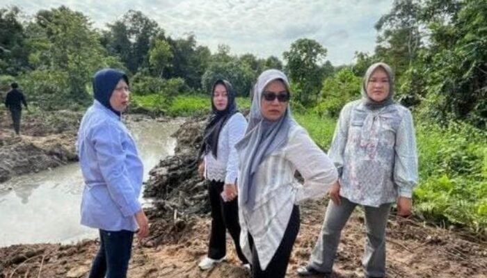 Kalapas Perempuan Jambi Tata Lahan Luar Lapas, Dukung KUHP Baru dan Keamanan