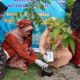 BPOM Jambi Tanam Ribuan Pohon, Dukung Lingkungan Hijau Berkelanjutan