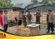 Tindak Cepat Aduan Warga, Polsek Ngunut Tertibkan Arena Judi Sabung Ayam di Desa Selorejo Tulungagung 
