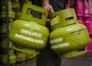 Kapuas Hulu Krisis Gas Elpiji 3 Kg, Harga Capai Rp 60ribu, Masyarakat Minta Pemda Ambil Langkah Nyata