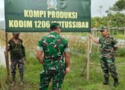 Tinjau Lahan Kompi Produksi Kodim 1206 Putussibau, Dandim: Sarana Pembinaan Teritorial