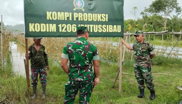 Tinjau Lahan Kompi Produksi Kodim 1206 Putussibau, Dandim: Sarana Pembinaan Teritorial