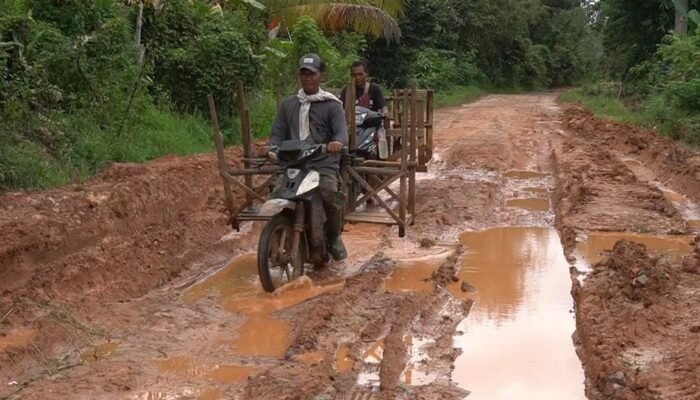 Jerit Hati Warga Talang Buluh, Butuh Perhatian Pemerintah Perbaiki Jalan Rusak Berlumpur dan Minim Penerangan