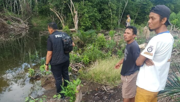 Serangan Buaya di Sungai Lesing, Warga Musi Rawas Alami Luka Serius