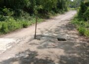 Hati-hati Jalan di Desa Kota Baru Menuju Desa Sukadamai Berlobang
