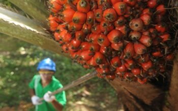 Pasca Diakuisisi POSCO, Sampoerna Agro Ganti Nama
