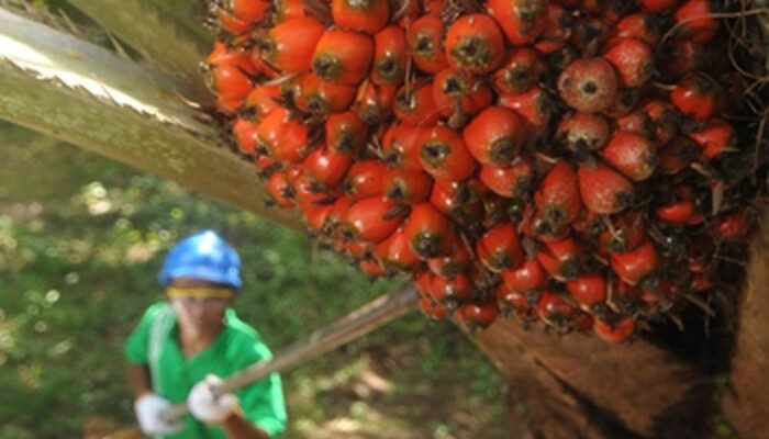 Pasca Diakuisisi POSCO, Sampoerna Agro Ganti Nama