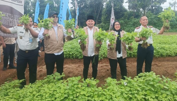 Dukung Program Makan Bergizi Gratis, Warga Binaan Lapas di Purwakarta Diberdayakan Jadi Petani