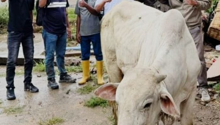 Rayakan Tradisi Meugang, PPWI Aceh Tamiang Unjuk Aksi Berbagi Dengan Insan Pers