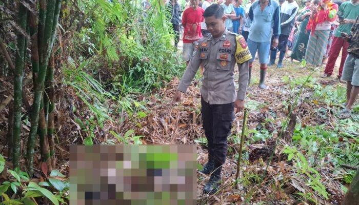 Pulang ke Ladang, Tak Pernah Kembali: AP Ditemukan Tewas di Jalan Poros Seberuang Diduga Minum Racun Rumput