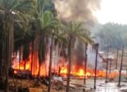 ‘Diam-Diam’ Sumur PT Hindoli Cobra I Kembali Aktif, Kini Kebakaran Lagi