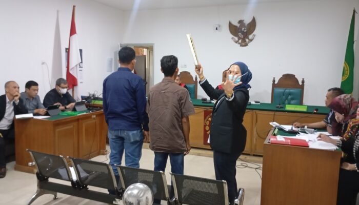 Fakta Persidangan Ungkap Koperasi Lemah Mengelola Kebun Plasma