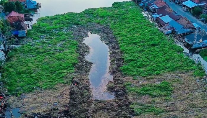 Eceng Gondok Belanti Ungkap Kegagalan Tata Kelola Sungai