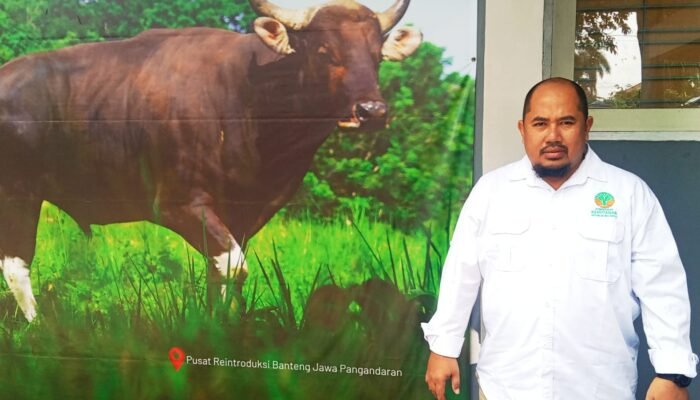 Kawasan Konservasi Gunung Sawal Jadi Penyangga Air dan Ekologi, Masyarakat Diminta Jaga Kelestarian