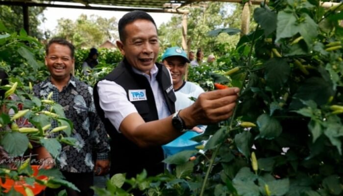 Harga Cabai, Telur Hingga Daging Melonjak, Pemkot Malang Siapkan Skema WTI