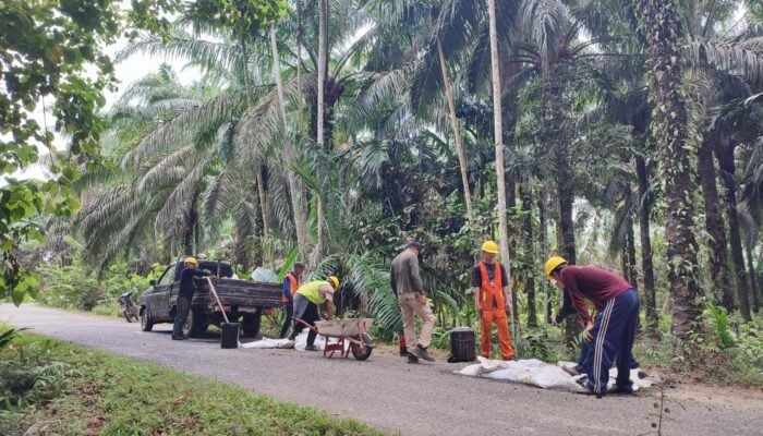 Pemkab Batang Hari Genjot Perbaikan Jalan Jelang Mudik Lebaran
