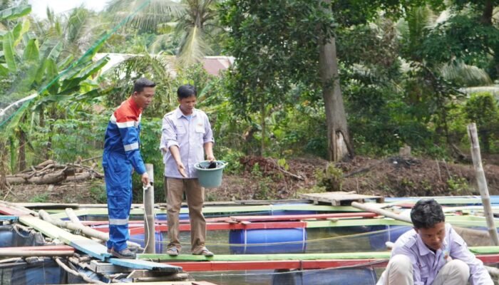 Pertamina Patra Niaga Sumbagsel Dorong Kemandirian Ekonomi Pemuda Sugihwaras Lewat Budidaya Ikan