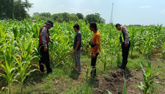 Sinergi Polri dan Petani Dorong Swasembada Pangan di Balongbendo