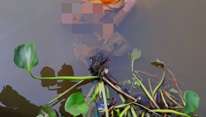 Mr X Ditemukan Tewas Tersangkut ‘Eceng Gondok’