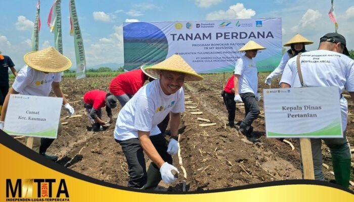 Serapan Pupuk Subsidi di Tulungagung Tembus 30 Persen pada Triwulan I 2026, Petani Padi Jadi Penyerap Terbesar