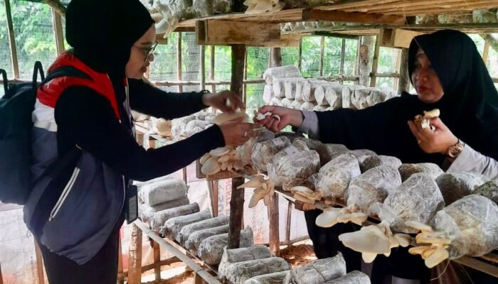 Pemuda Banu Ayu dan Pertamina Patra Niaga Regional Sumbagsel Ubah Limbah Bambu Jadi Peluang Ekonomi Sirkular