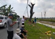 UPJI Wilayah 8 Gerak Cepat Pasca Lebaran, Tambal Jalan Berlubang hingga Tebang Pohon Kering di Jalur Comal–Bodeh