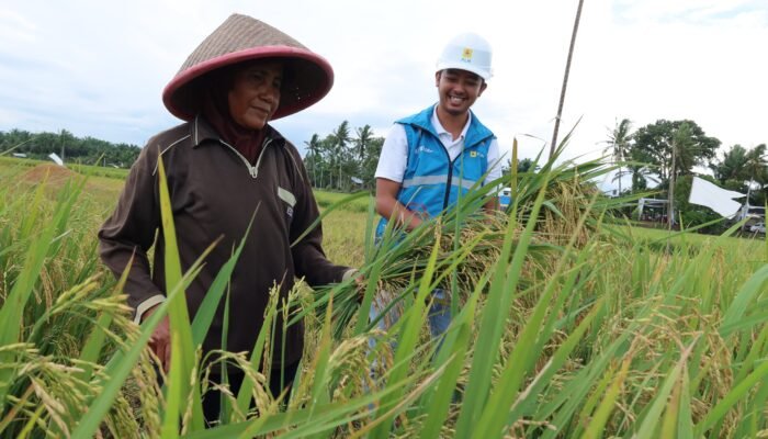 PLN UID S2JB Raih Platinum Nusantara CSR Awards 2026