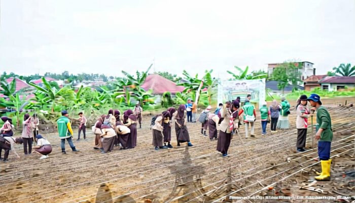 500 Pelajar Pramuka Tanam Padi Gogo di Jambi, Perkuat Ketahanan Pangan Nasional