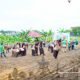 500 Pelajar Pramuka Tanam Padi Gogo di Jambi, Perkuat Ketahanan Pangan Nasional