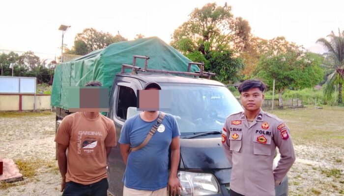 Kurang dari 4 Jam Kabur, Sopir Pickup Terduga Tabrak Lari di Pala Pulau Diciduk Polsek Embaloh Hulu