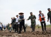 Perkuat Posisi Lumbung Pangan Nasional, Gubernur Herman Deru Pimpin Tanam Padi Serentak di Banyuasin