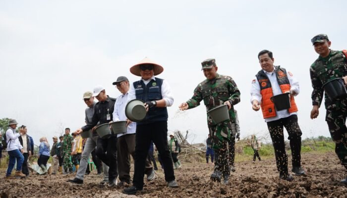 Perkuat Posisi Lumbung Pangan Nasional, Gubernur Herman Deru Pimpin Tanam Padi Serentak di Banyuasin