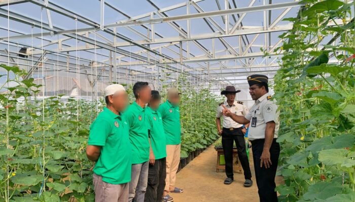 Rutan Kelas I Palembang Lanjutkan Penanaman Melon Tahap Kedua