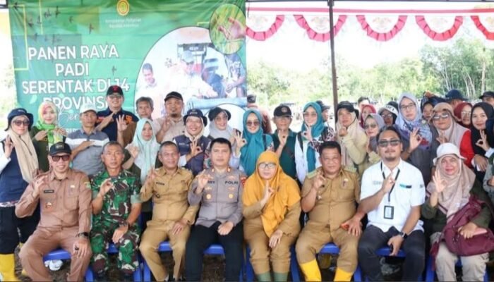 Pertanian Padi Mura Tumbuh Positif, Produksi dan Luas Panen Meningkat Signifikan