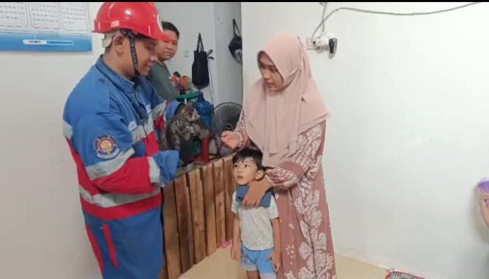 Respon Cepat Damkartan Kota Jambi, Kucing Terjebak di Plafon Rumah Berhasil Dievakuasi