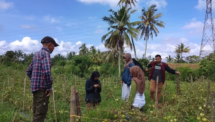 Bumnag Pagaruyung Motivasi Petani Untuk Berkemban