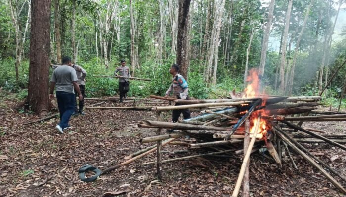 Gerak Cepat Polisi, Arena Sabung Ayam di Hutan Sebalang Kapuas Hulu Dibongkar dan Dibakar