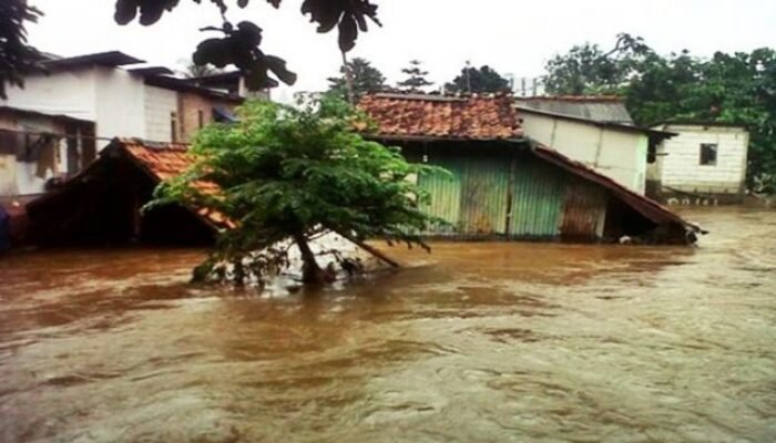 WALHI Jambi Soroti Banjir Batang Asai sebagai Bencana Ekologis, Desak Investigasi Kerusakan Hulu
