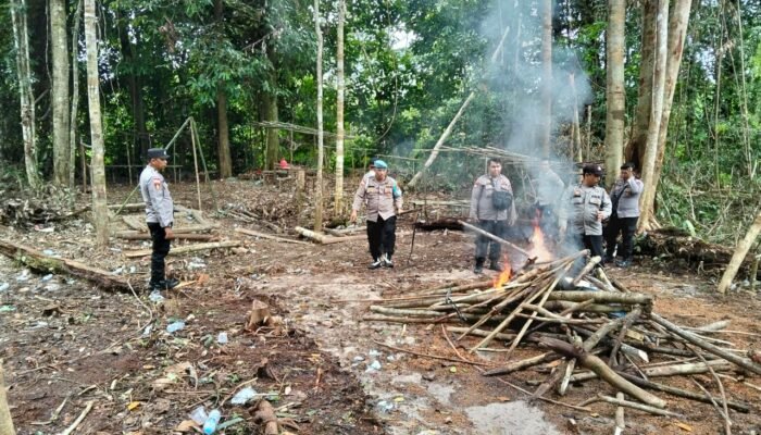 Berkedok Gawai Dayak, Arena Sabung Ayam di Seberu Dibongkar-Polsek Silat Hilir: “Adat Bukan Tameng untuk Judi”