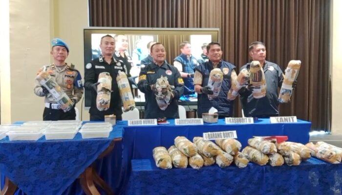 Ladang Ganja 20 Hektare di Empat Lawang Terbongkar, Polisi Sita 220 Kg dan Buru 4 DPO