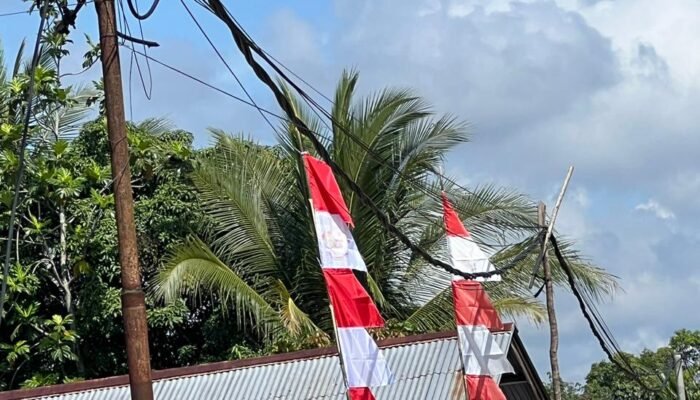 Warga Rejosari PALI Terancam, Tiang Listrik Swadaya Rusak Parah dan Sering Korslet