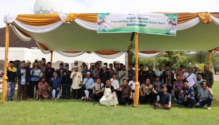 Perkuat Pemahaman Syariat, PTBA Gelar Pelatihan Penyembelihan Hewan Kurban