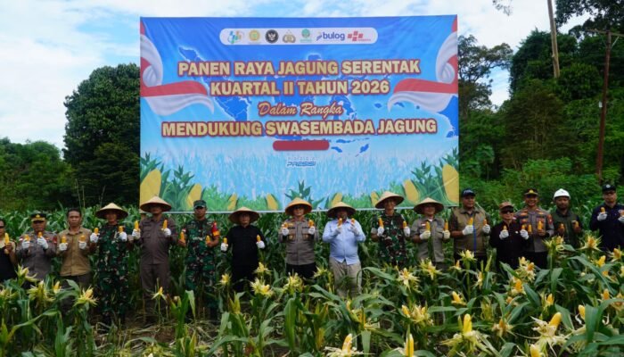 Panen Raya Jagung di Pengkadan Sukses Digelar, Polres Kapuas Hulu Bukti Polri Tak Hanya Jaga Kamtibmas tapi Juga Ketahanan Pangan