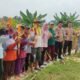 Polsek Tanggulangin Dukung Ketahanan Pangan, Panen Raya Jagung di Desa Randegan